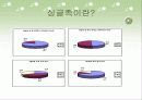 싱글족 마케팅 전략 3페이지