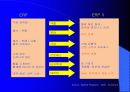 [ERP] ERP와 조직문화 7페이지