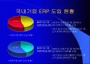 [ERP] ERP와 조직문화 12페이지