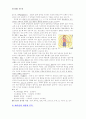 영양소의 과잉과 부족증에 대한 레포트 5페이지