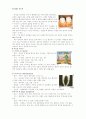 영양소의 과잉과 부족증에 대한 레포트 8페이지