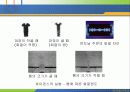 양자론의 태동 18페이지