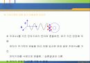 양자론의 태동 27페이지
