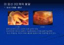 인간발달-영아기 4페이지