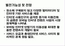 [경영과의사결정]무선인터넷 시장에서의 LG telecom 의 경영전략 14페이지