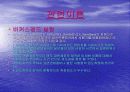 기계재료 스트레인게이지 8페이지