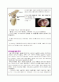 ACL전방십자인대 수술실 4페이지