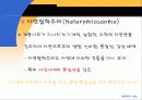 열역학의 성립 9페이지