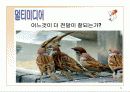 기술가정연구수업ppt 11페이지