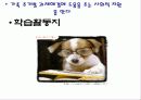 가정과 고1 가족생활주기 파워포인트 자료입니다. 8페이지