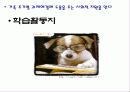 가정과 고1 가족생활주기 파워포인트 자료입니다. 12페이지