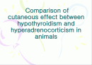 내분비성 피부질환(Endocrine dermatopathy )과 갑상선기능저하증(Hypothyroidism),Hyperadrenocorticism(Cushing's syndrome) 에 관한 발표자료//특A급 수의대생들이 직접제작 1페이지