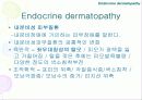 내분비성 피부질환(Endocrine dermatopathy )과 갑상선기능저하증(Hypothyroidism),Hyperadrenocorticism(Cushing's syndrome) 에 관한 발표자료//특A급 수의대생들이 직접제작 3페이지