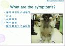 내분비성 피부질환(Endocrine dermatopathy )과 갑상선기능저하증(Hypothyroidism),Hyperadrenocorticism(Cushing's syndrome) 에 관한 발표자료//특A급 수의대생들이 직접제작 21페이지