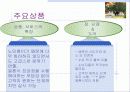 리마인드 웨딩 6페이지