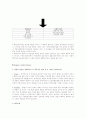 EFR(Ethnographic Futures Reaserch) Analysis 6페이지