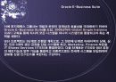 Business Intelligence 사례 13페이지