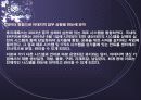 Business Intelligence 사례 14페이지