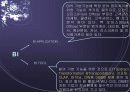 Business Intelligence 사례 16페이지