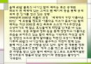 할리베리에 대한 조사 13페이지
