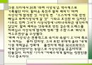 할리베리에 대한 조사 22페이지