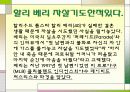 할리베리에 대한 조사 24페이지