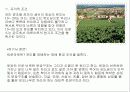 프랑스 와인 7페이지