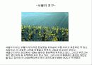프랑스 와인 30페이지