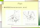 동결견(FROZEN SHOULDER) SOAP 17페이지