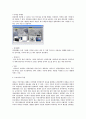 [분석/조사] 뉴미디어  3페이지