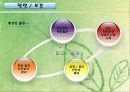 LG화학 환경보고 18페이지