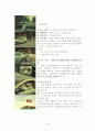 s-oil 광고분석 15페이지