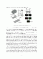 DNA chip 12페이지