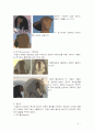 이집트왕자 속 이집트 복식 5페이지