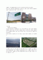 도시계획개론-용인시의 문제점의 원인과 대책 4페이지