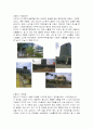 도시계획개론-용인시의 문제점의 원인과 대책 5페이지