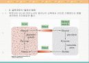 물질대사의 통합 및 특수화 6페이지