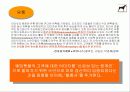 내가 만든 e비지니스 모델 11페이지