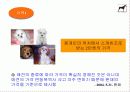 내가 만든 e비지니스 모델 14페이지