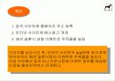 내가 만든 e비지니스 모델 19페이지