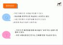 내가 만든 e비지니스 모델 28페이지