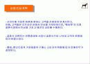 내가 만든 e비지니스 모델 30페이지