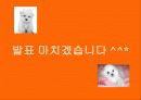 내가 만든 e비지니스 모델 33페이지