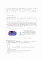 청소년 폭력행위 21페이지