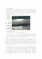 지구 온난화에 대한 17페이지