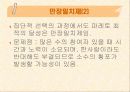 공공선택이론 3페이지