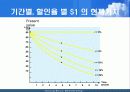 비용편익분석 14페이지