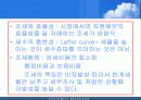 정부재정론 중 조세론에 대해 13페이지