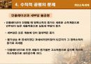 [공공경제학]우리나라의 개인소득세제 20페이지