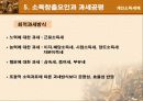 [공공경제학]우리나라의 개인소득세제 24페이지